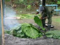 Thumbs/tn_Img_1221.jpg